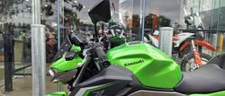 2024 Kawasaki Z500 (ER500) Z Green