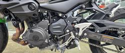 2024 Kawasaki Z500 (ER500) Z Green