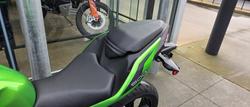 2024 Kawasaki Z500 (ER500) Z Green
