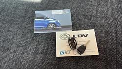 2025 LDV G10