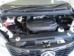 2024 LDV G10 +