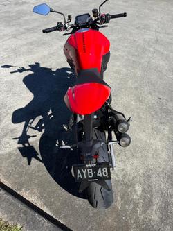 2026 Ducati Monster + 890