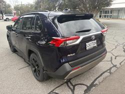 2024 Toyota RAV4 Cruiser