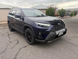 2024 Toyota RAV4 Cruiser