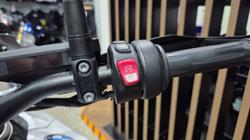2024 BMW Motorrad R 1300 GS LIGHT WHITE UNI