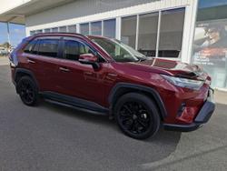 2022 Toyota RAV4 Cruiser
