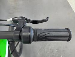 2025 Kawasaki 2025 KAWASAKI ELEKTRODE KSK030ASFNN Green