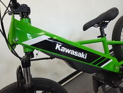 2025 Kawasaki 2025 KAWASAKI ELEKTRODE KSK030ASFNN Green