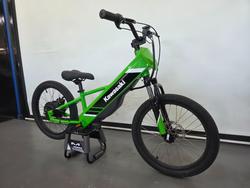 2025 Kawasaki 2025 KAWASAKI ELEKTRODE KSK030ASFNN Green