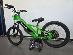 2025 Kawasaki 2025 KAWASAKI ELEKTRODE KSK030ASFNN Green