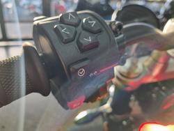 2025 Triumph BONNEVILLE SPEED TWIN 1200 Red
