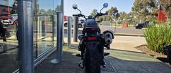2023 Honda CL500 CL Black