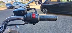 2011 Triumph AMERICA BLACK