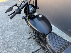 2019 HARLEY-DAVIDSON XG500 STREET 500 BLACK