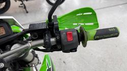 2023 Kawasaki KLX250 Green