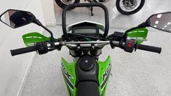 2023 Kawasaki KLX250 Green