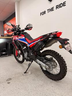 2023 Honda CRF300 RALLY Red