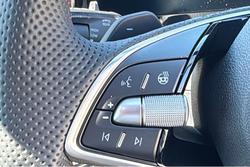 2025 SKODA Kodiaq RS