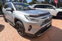 2020 Toyota RAV4 Cruiser