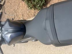 2025 Triumph DAYTONA 660 (LAMS) Black