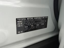 2023 Toyota RAV4 Cruiser