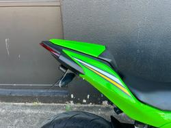 2025 Kawasaki NINJA 500 SE (LAMS) GREEN