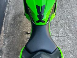 2025 Kawasaki NINJA 500 SE (LAMS) GREEN