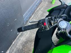 2025 Kawasaki NINJA 500 SE (LAMS) GREEN