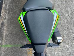 2024 Kawasaki NINJA ZX-6R (636) KRT EDITION GREEN