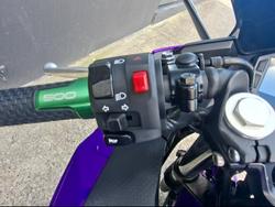 2025 Kawasaki NINJA 500 WHITE