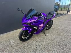 2025 Kawasaki NINJA 500 WHITE