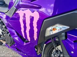 2025 Kawasaki NINJA 500 WHITE
