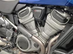 2025 Harley-Davidson Pan America 1250 Special Pan America Blue