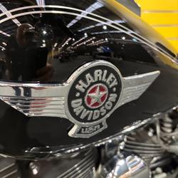 2017 HARLEY-DAVIDSON FLSTF FAT BOY Black
