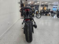 2026 Triumph TIGER SPORT 800 YELLOW