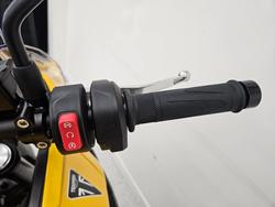 2026 Triumph TIGER SPORT 800 YELLOW