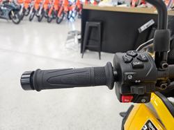2026 Triumph TIGER SPORT 800 YELLOW
