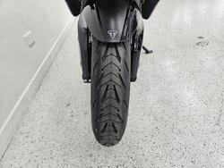 2026 Triumph TIGER SPORT 800 YELLOW