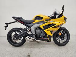 Triumph Daytona 660 (lams)
