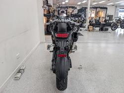 2026 Triumph TIGER 1200 GT PRO ALPINE