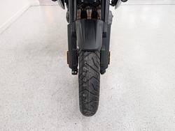 2026 Triumph TIGER 1200 GT PRO ALPINE