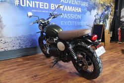 2024 TRIUMPH SCRAMBLER 900 STEALTH Green