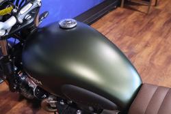 2024 TRIUMPH SCRAMBLER 900 STEALTH Green