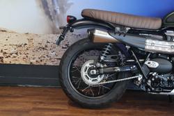 2024 TRIUMPH SCRAMBLER 900 STEALTH Green