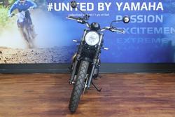 2024 TRIUMPH SCRAMBLER 900 STEALTH Green