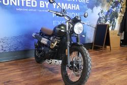 2024 TRIUMPH SCRAMBLER 900 STEALTH Green