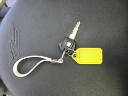 2024 Suzuki V-STROM 250SX (DS250RL) YELLOW