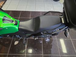 2024 Kawasaki VERSYS-X 300 GREEN