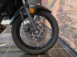 2024 Kawasaki VERSYS-X 300 GREEN