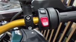 2026 BMW Motorrad R 1300 GS ADVENTURE GREEN